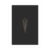 Delicate Fynbos Botanicals in Gold and Black (Print Only) thumbnail