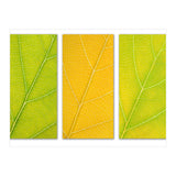 Autumn Leaves (Print Only) thumbnail