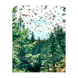 Save The Planet (Print Only) thumbnail