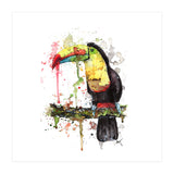 Toucan - Wildlife Collection (Print Only) thumbnail
