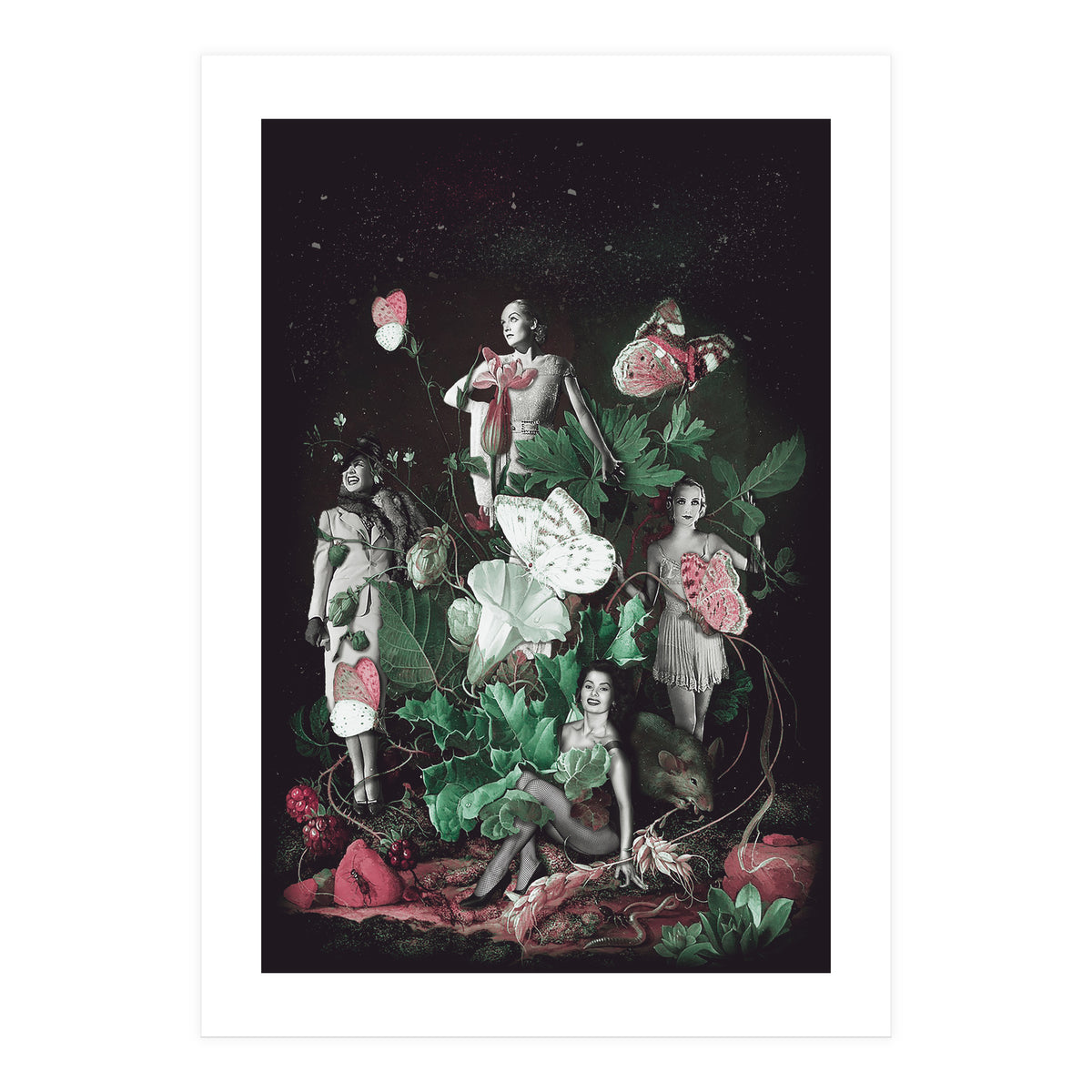 Cecilia (Print Only)