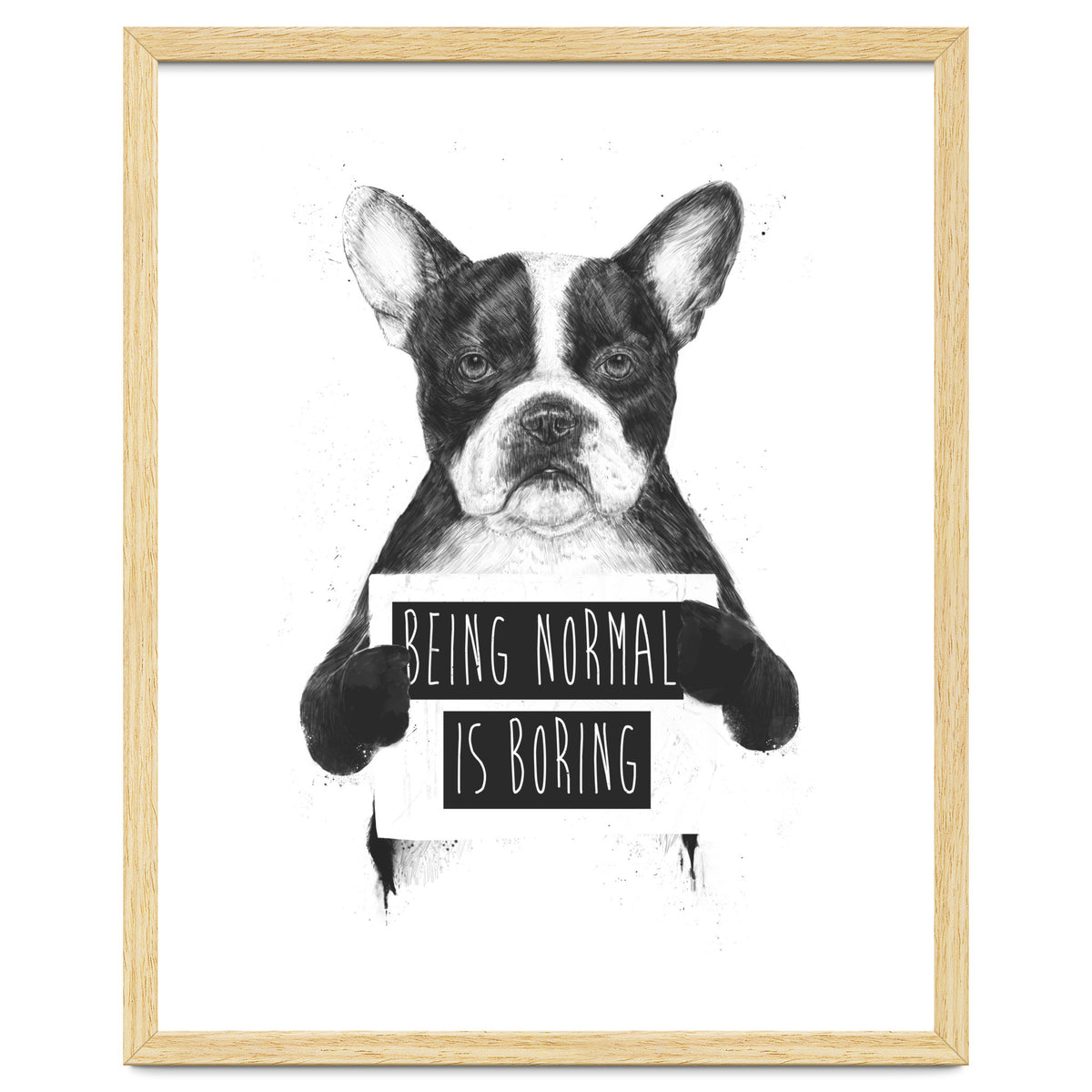 Being Normal Is Boring