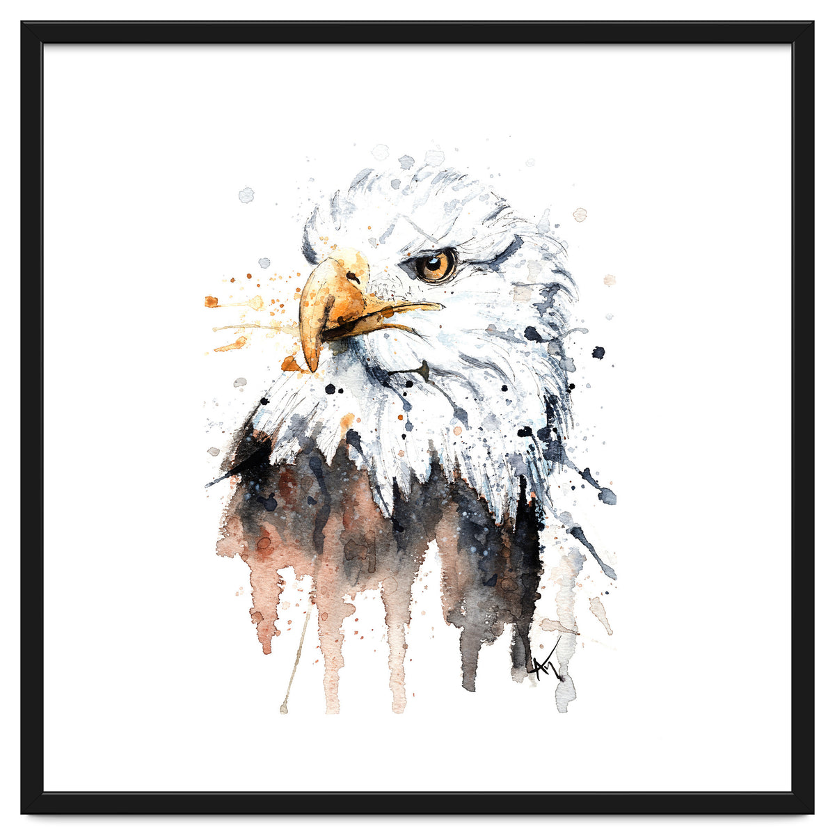 Bald Eagle - Wildlife Collection