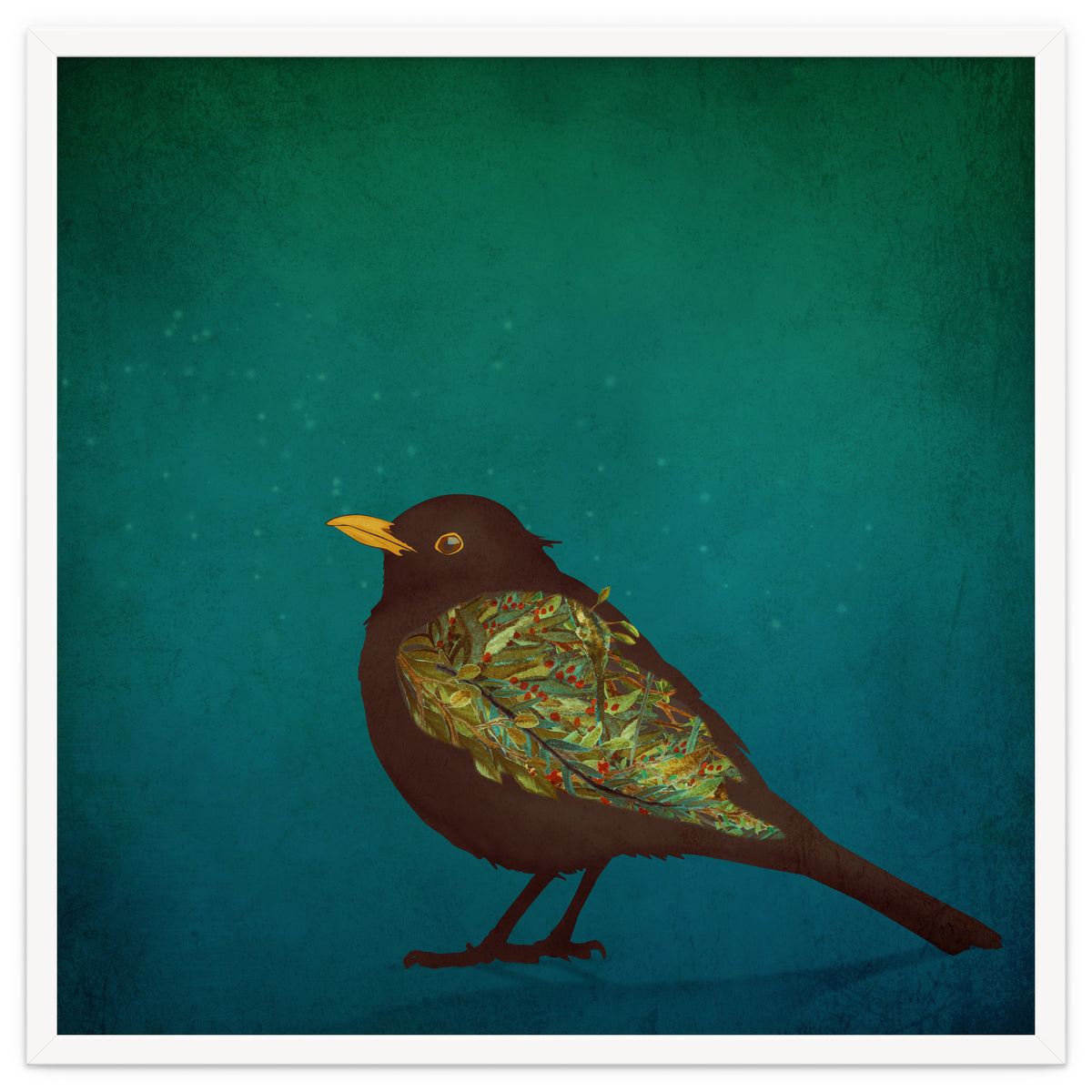 Camouflage: The Blackbird