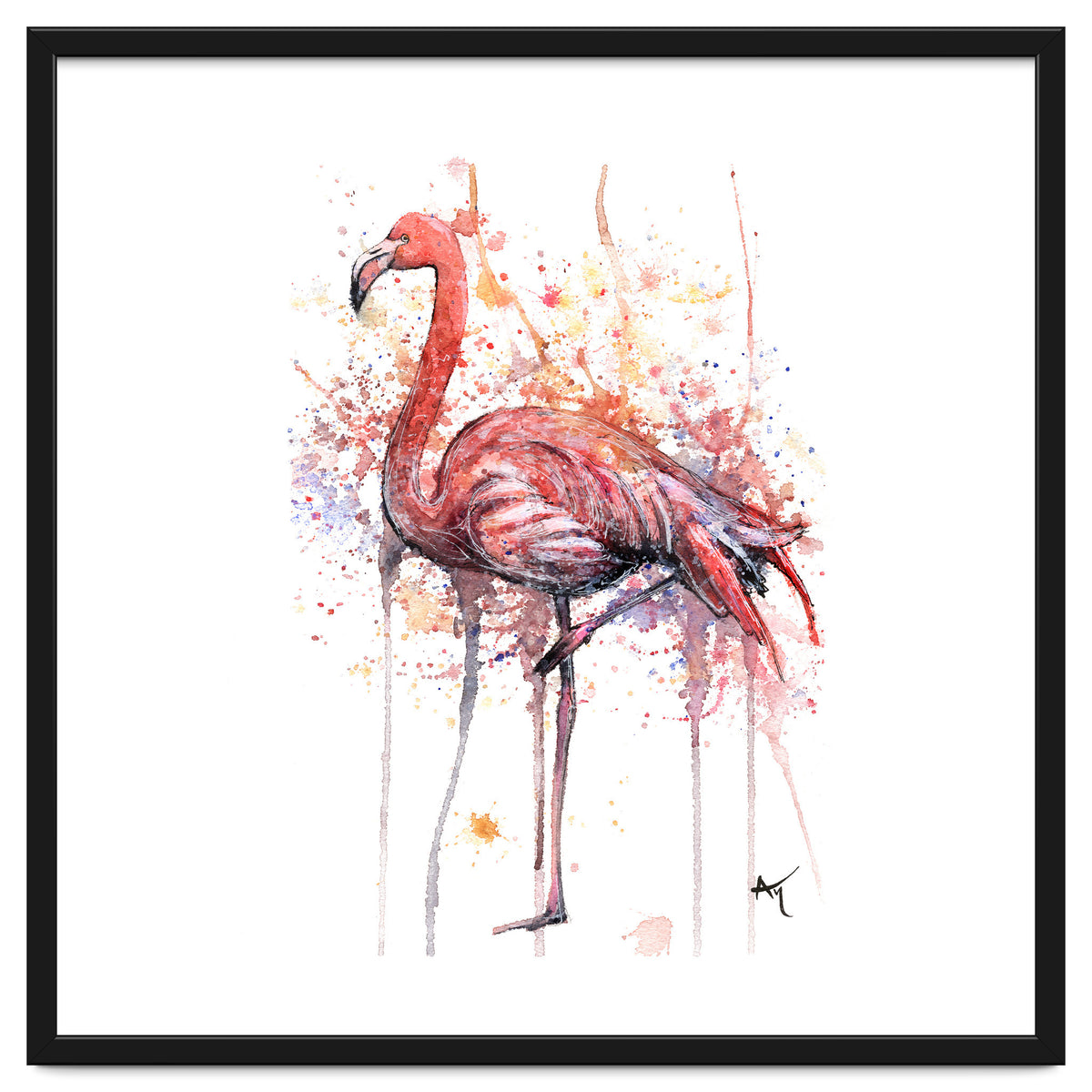 Flamingo - Wildlife Collection