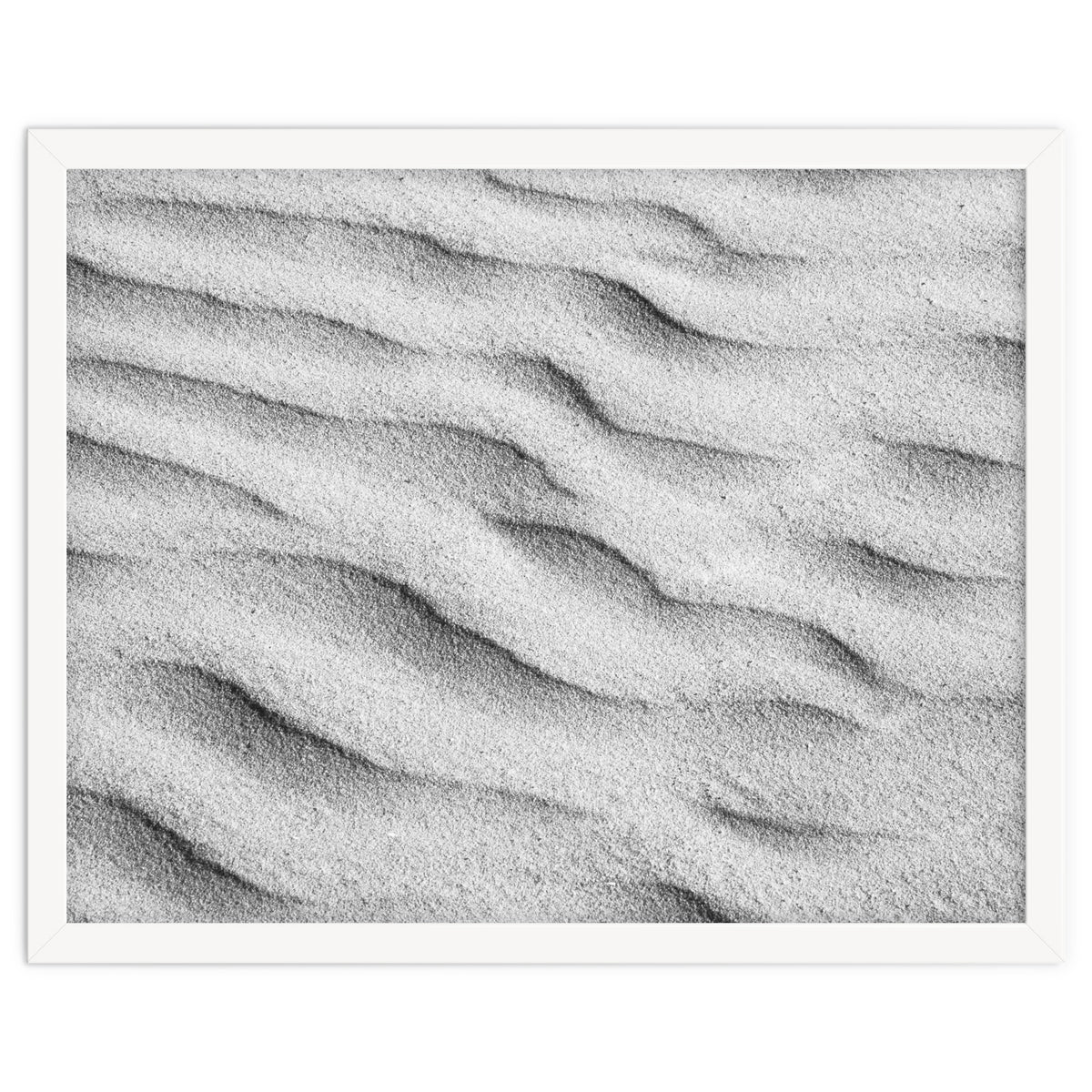 SAND LINES / 1