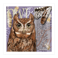 Screech Owl (Print Only)