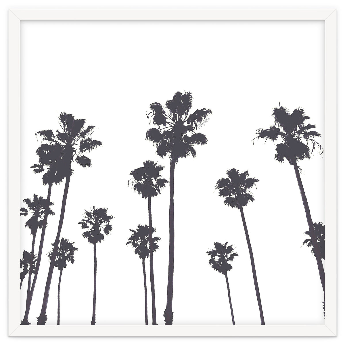 Palms & Sunset-Minimal B&W
