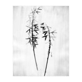 Hosta 2 (Print Only) thumbnail