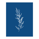 Blue Botanical II (Print Only) thumbnail