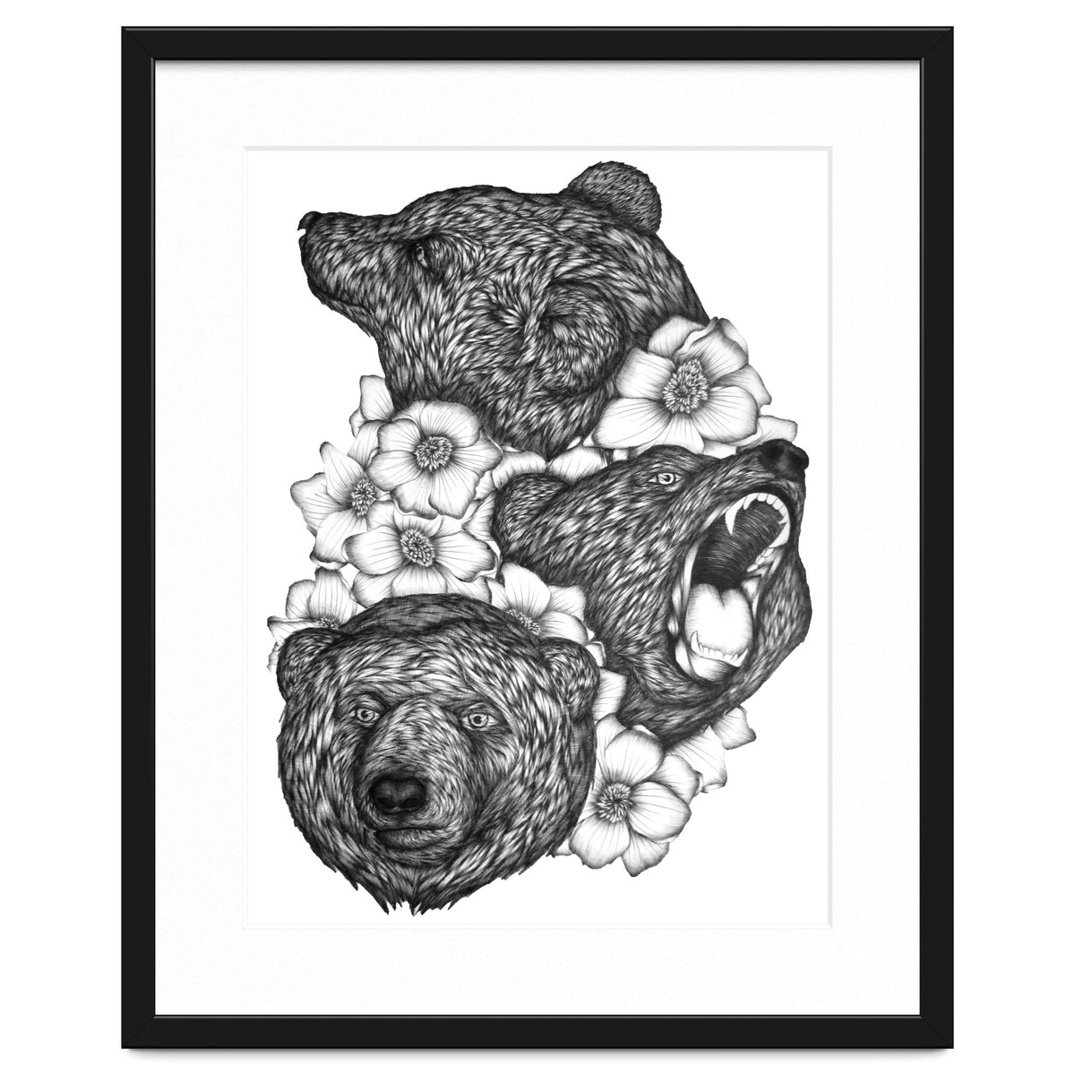 Bears In Bears