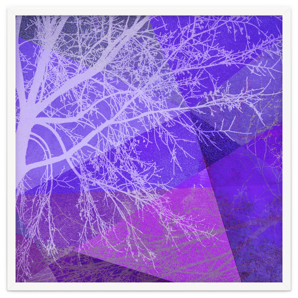 P19-D2 Trees and Triangles