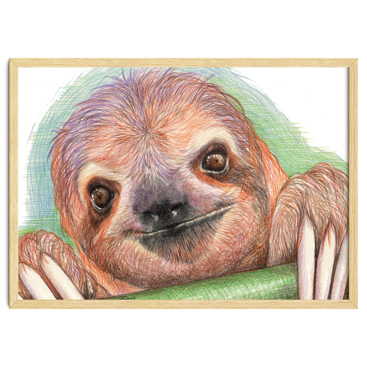 Smiling Sloth