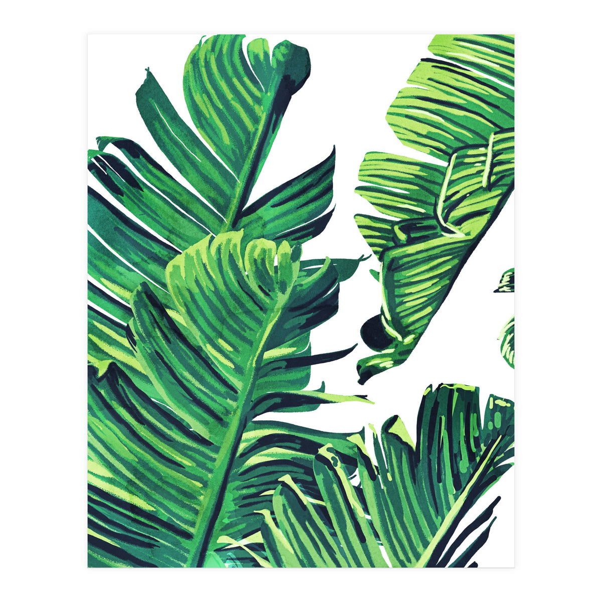 Banana Tree Leaves (Print Only)