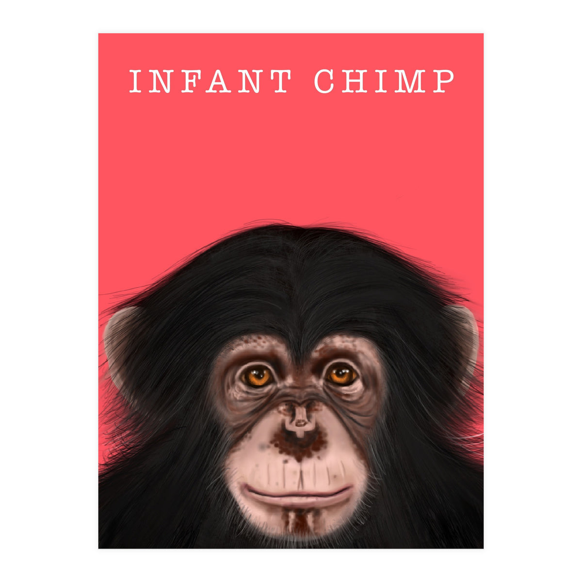 Infant Chimp (Print Only)