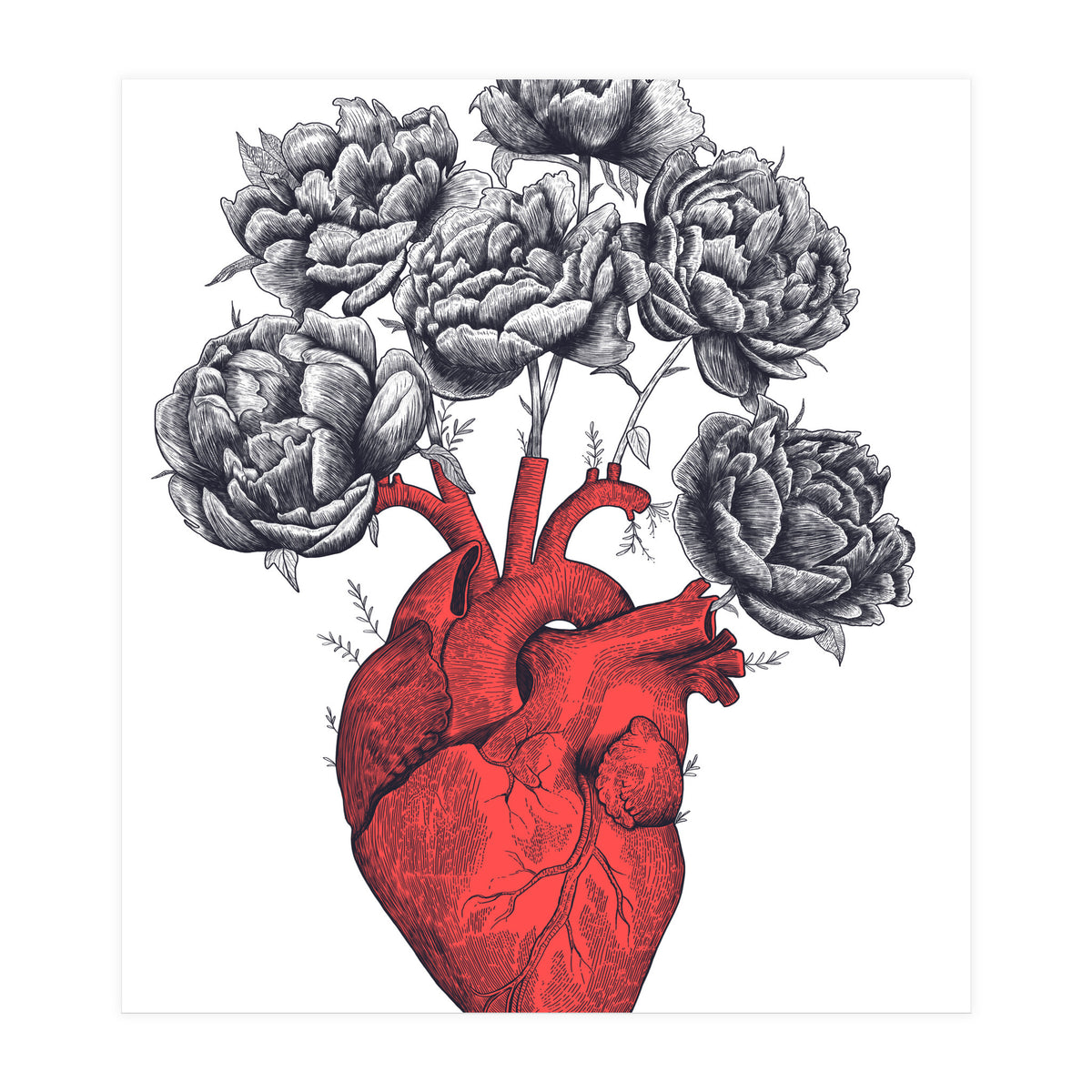 Heart With Peonies (Print Only)