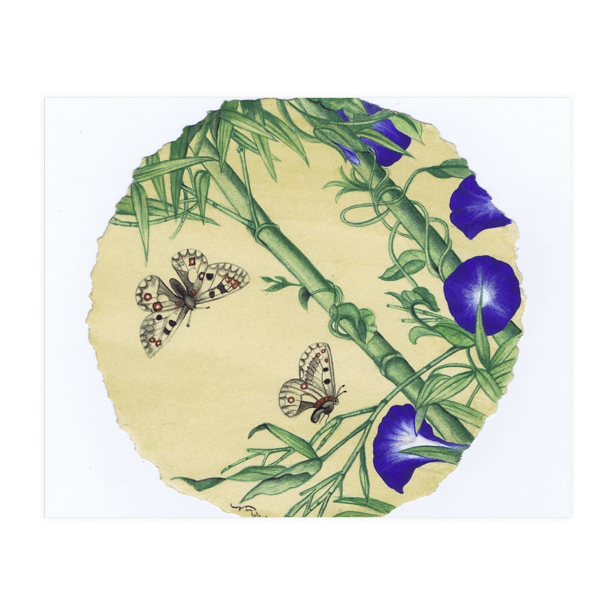 Circle 13 (Print Only)