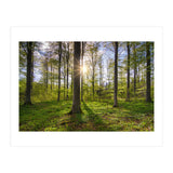 Spring Sun (Print Only) thumbnail