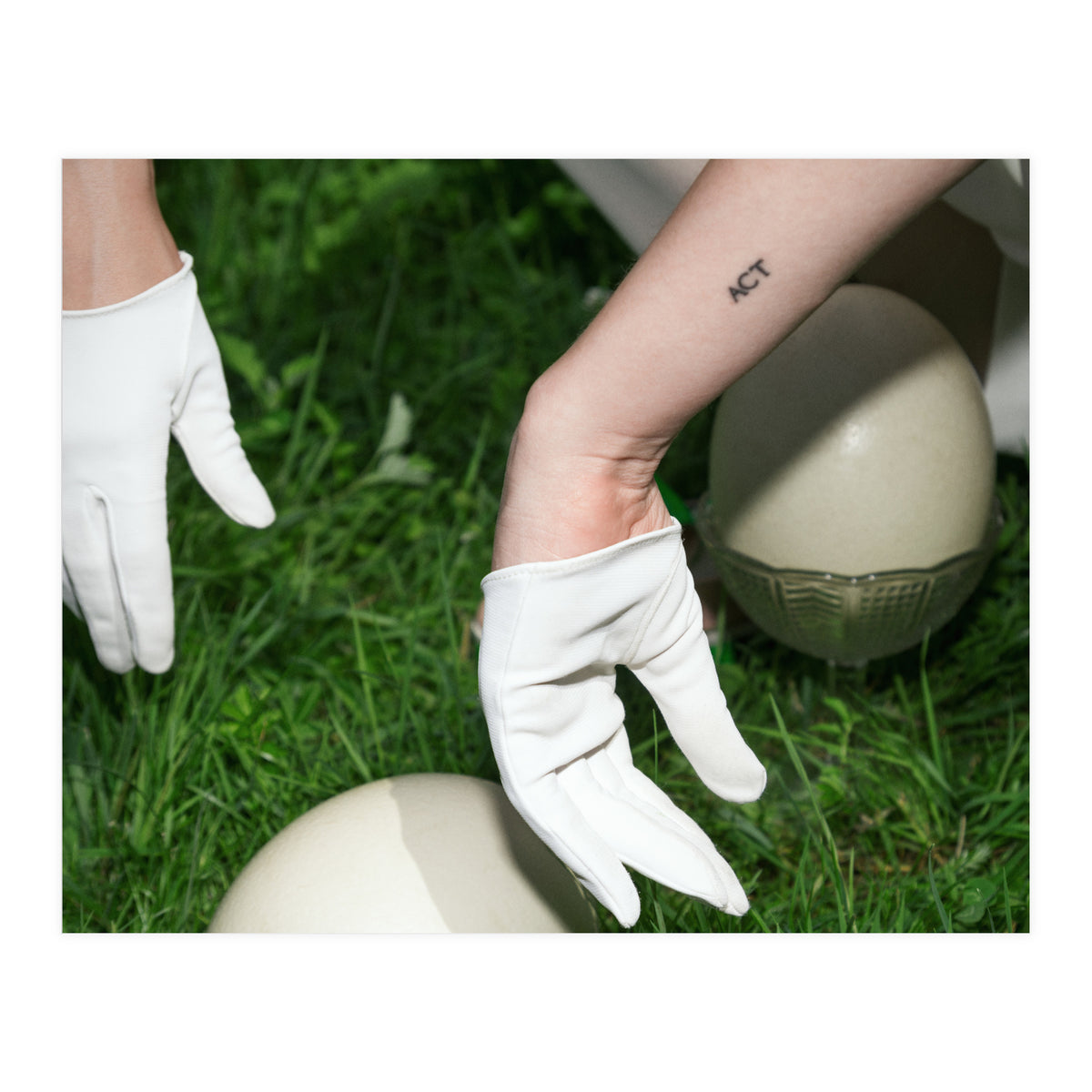 Dinosaur Inside (Print Only)