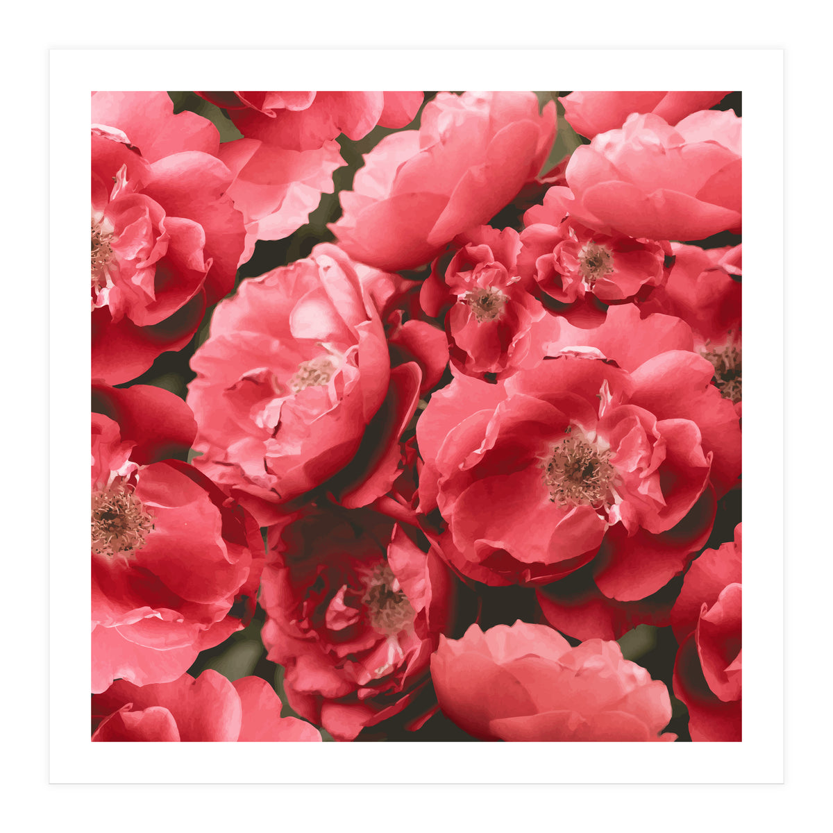 Christina (Print Only)