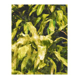 Green Nature (Print Only) thumbnail