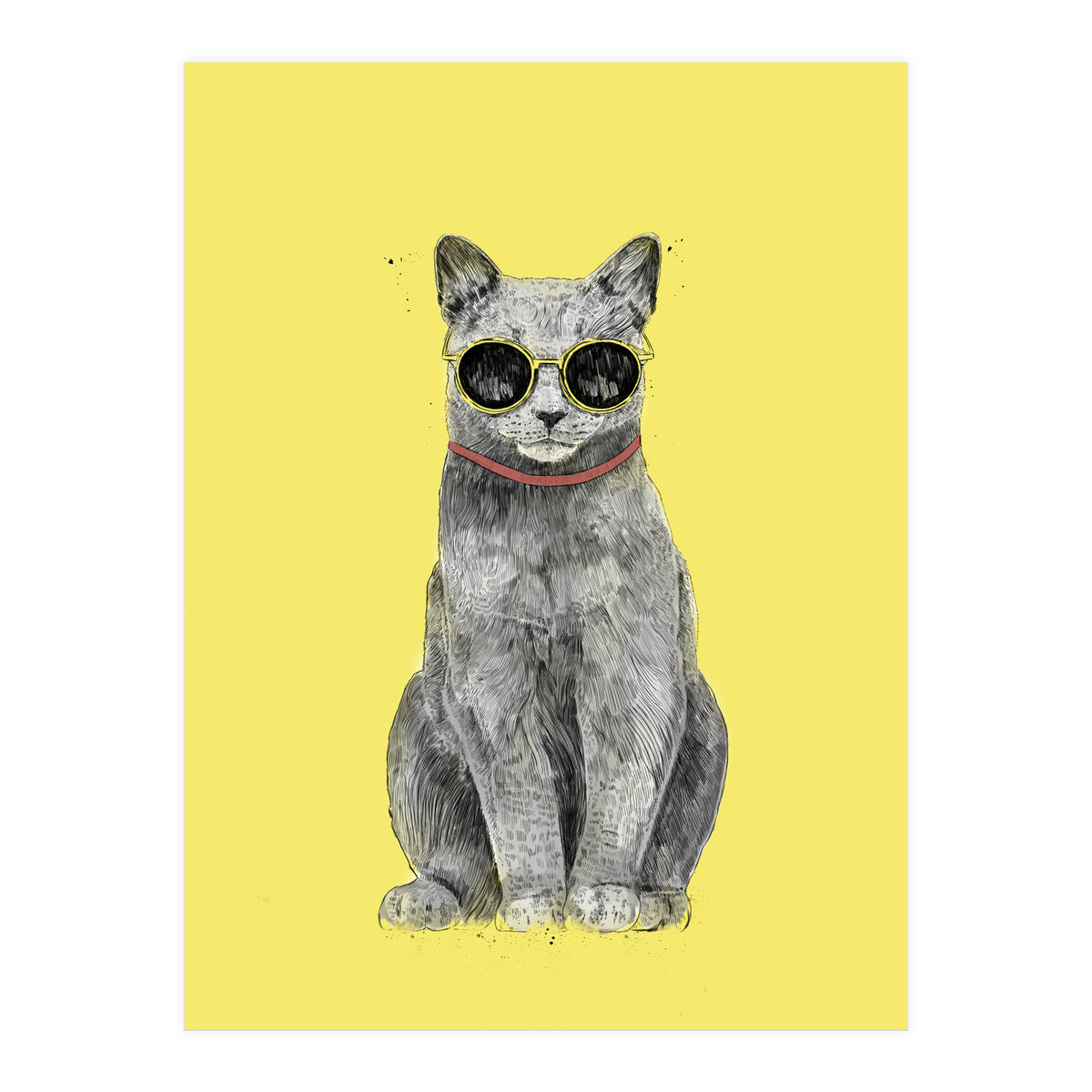 Summer Cat (Print Only)