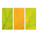 Autumn Leaves (Print Only) thumbnail