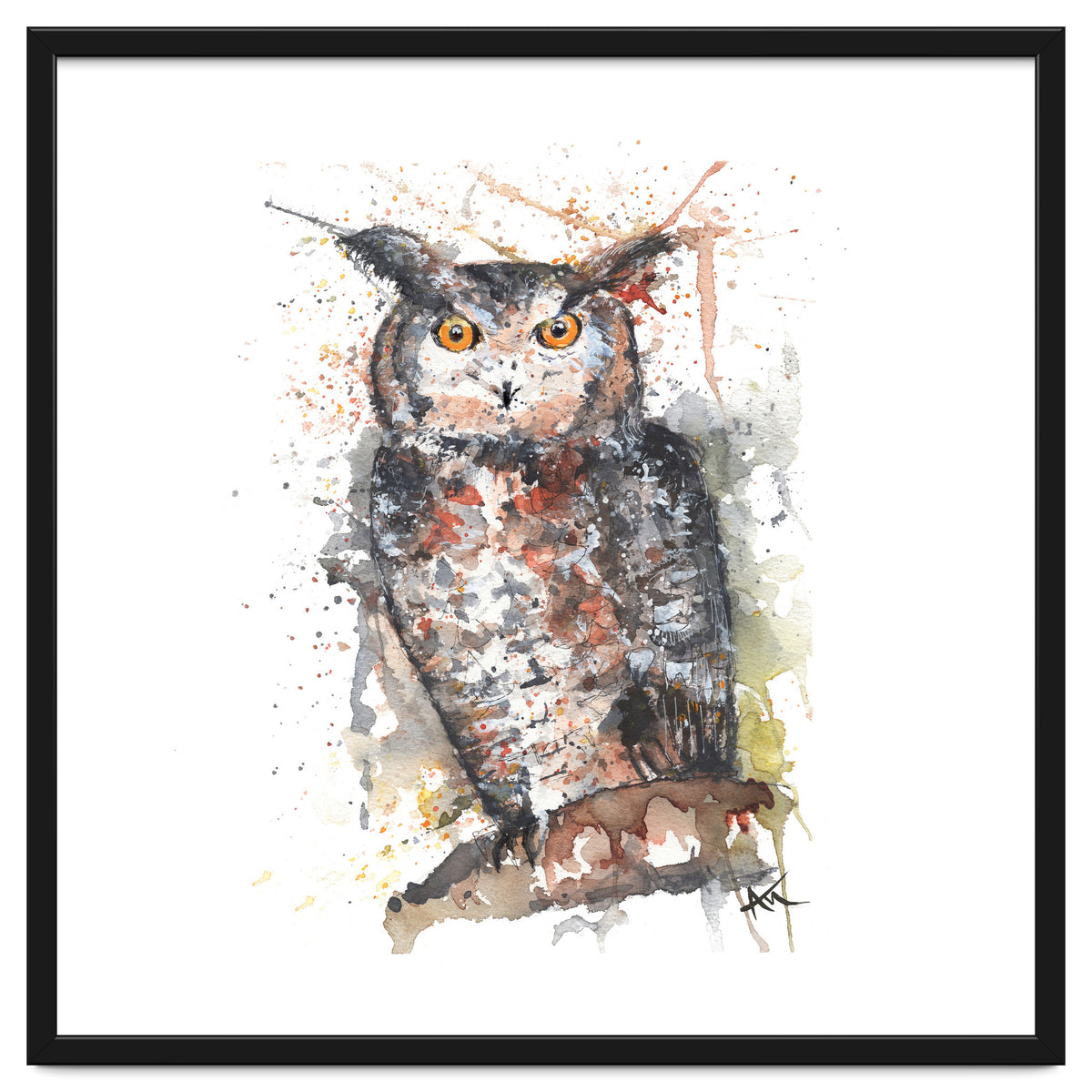 Owl - Wildlife Collection