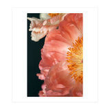 Coral Charm #2  (Print Only) thumbnail