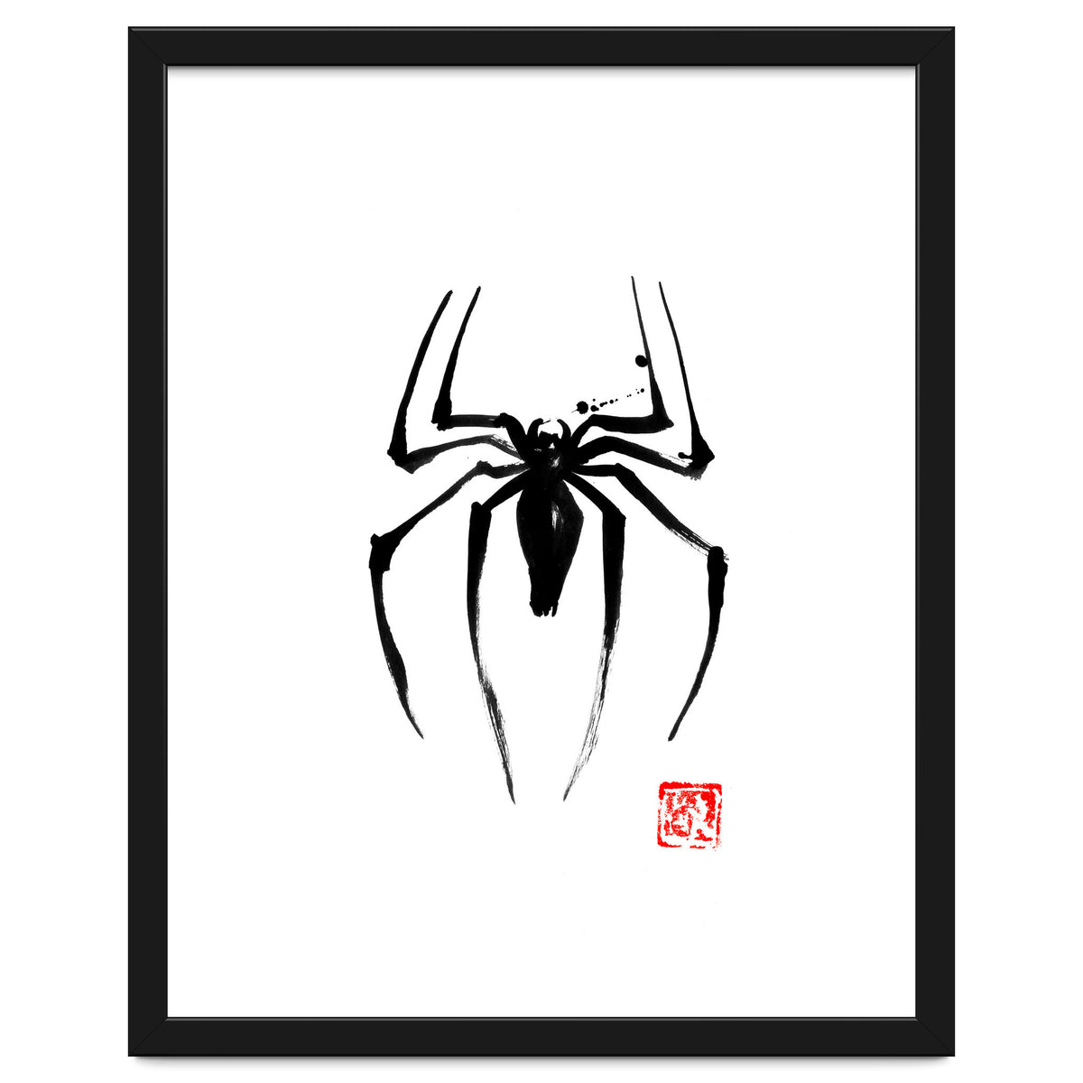 Spider