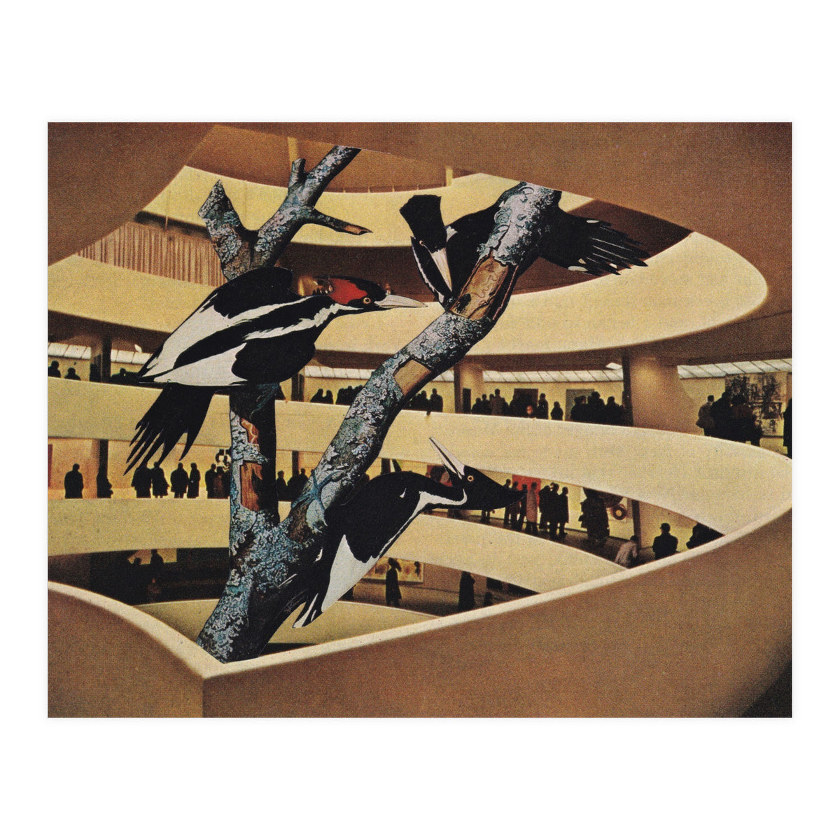 Art Museum (Print Only)