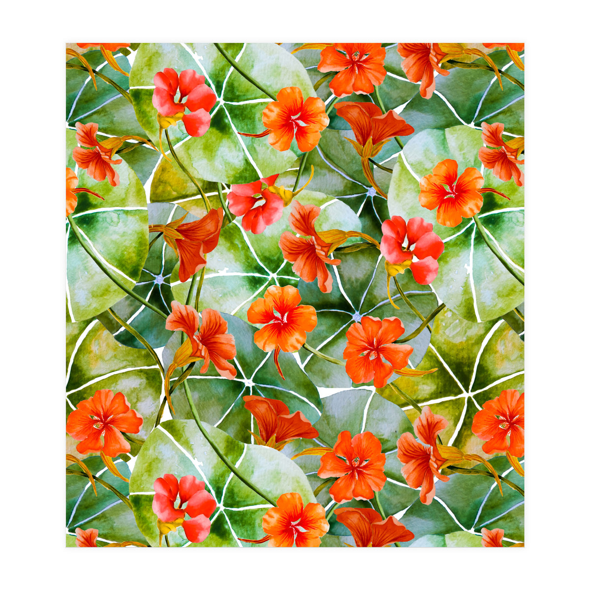 Nasturtiums watercolor 01 (Print Only)