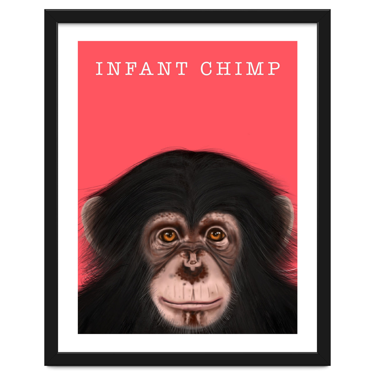 Infant Chimp