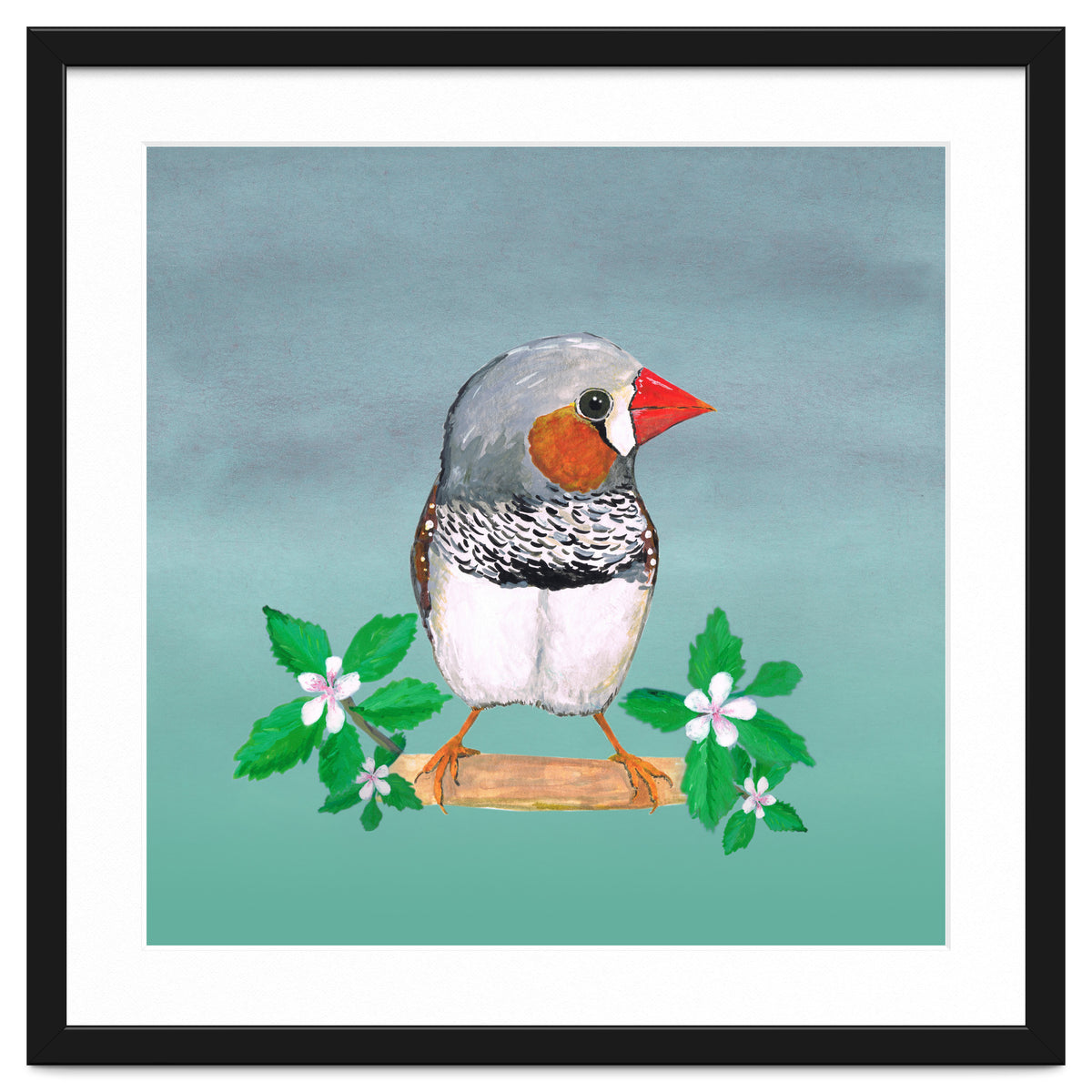 Zebra finch