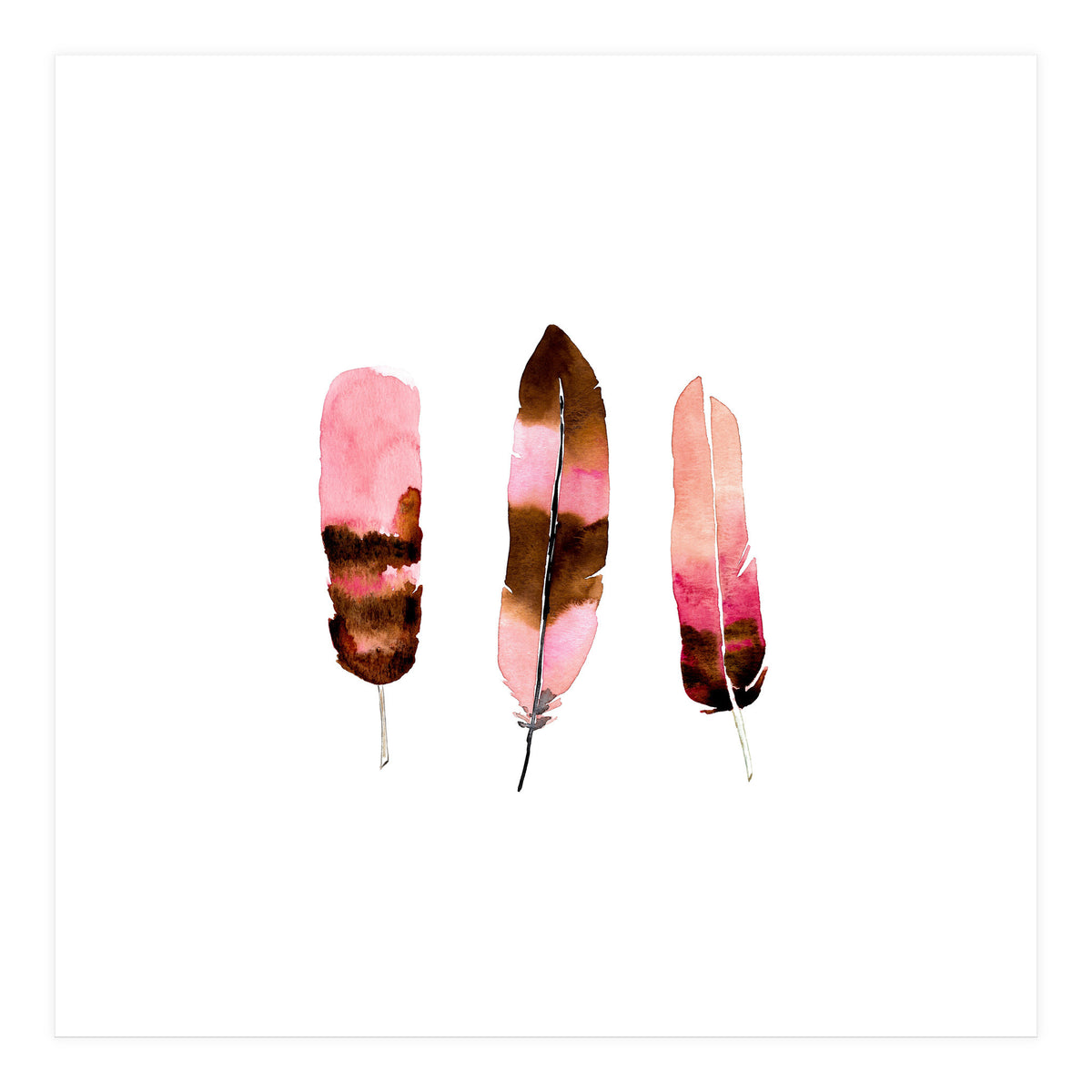 Blush Feathers (Print Only)