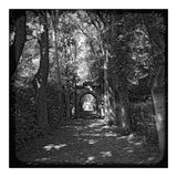 Alley to a cemetery (Print Only) thumbnail