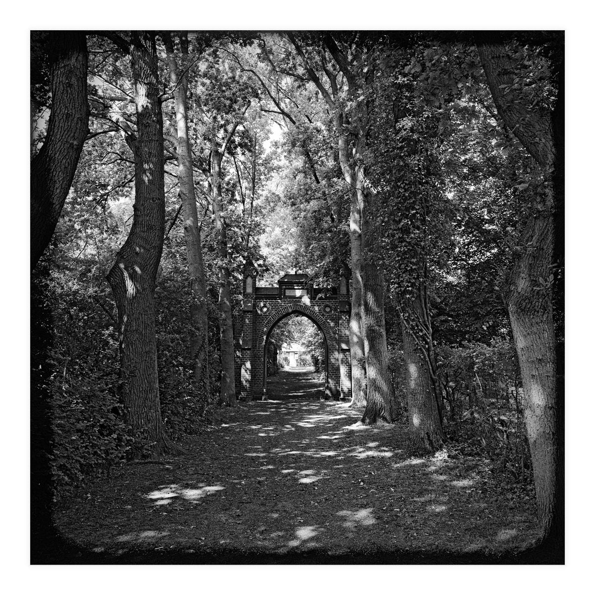 Alley to a cemetery (Print Only)
