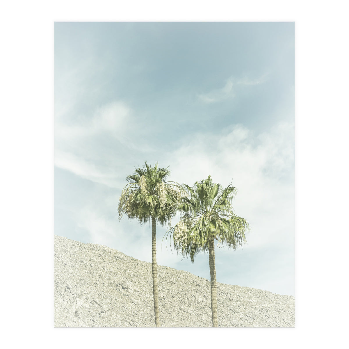 Palm Trees in the desert | Vintage (Print Only)