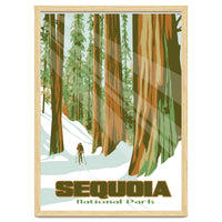 Sequoia National Park Poster