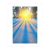 Nature (Print Only) thumbnail