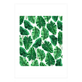Taro (Print Only) thumbnail