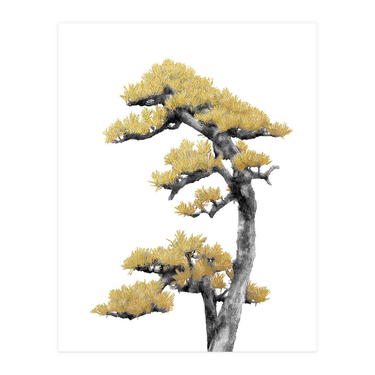 Bonsai Tree 04 (Print Only)