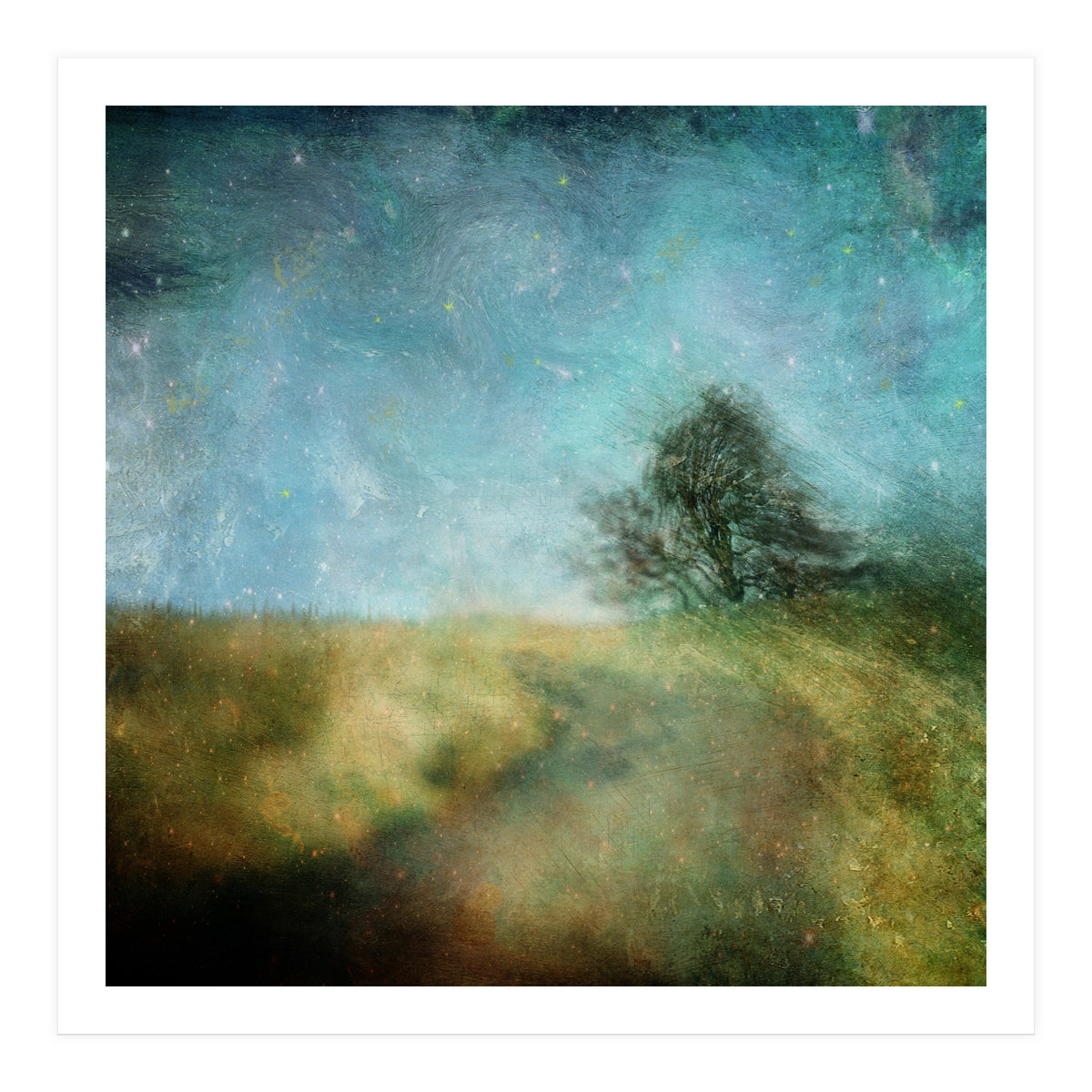Dancing In The Wind (Print Only)