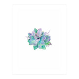 Aqua Succulent (Print Only) thumbnail