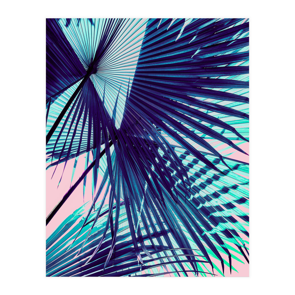 Palm leaf on the beach (Print Only)