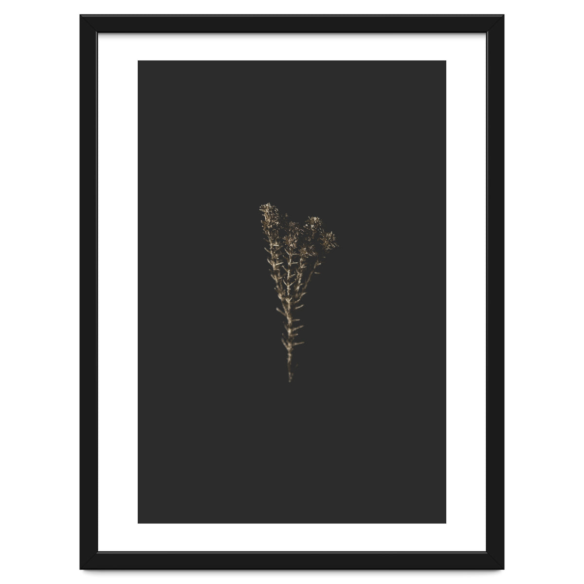 Moody Golden Botanicals