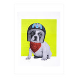 Easy Rider Dog (Print Only) thumbnail