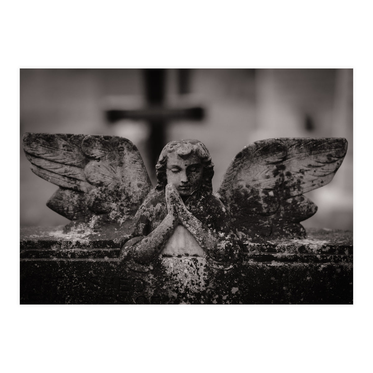 Winged Angel (Print Only)