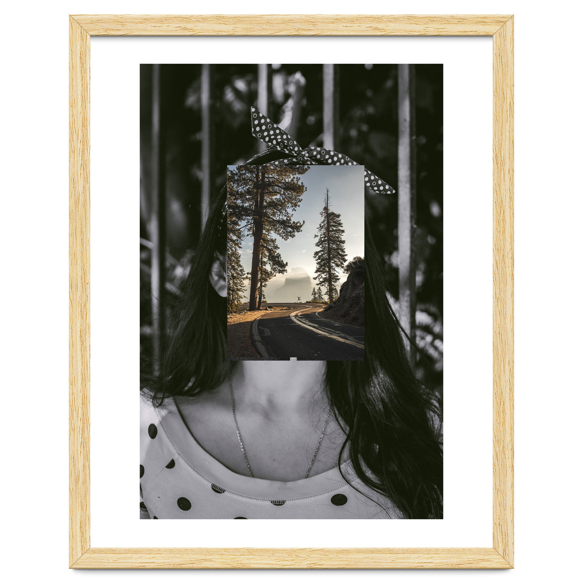 Silva Where Are You?