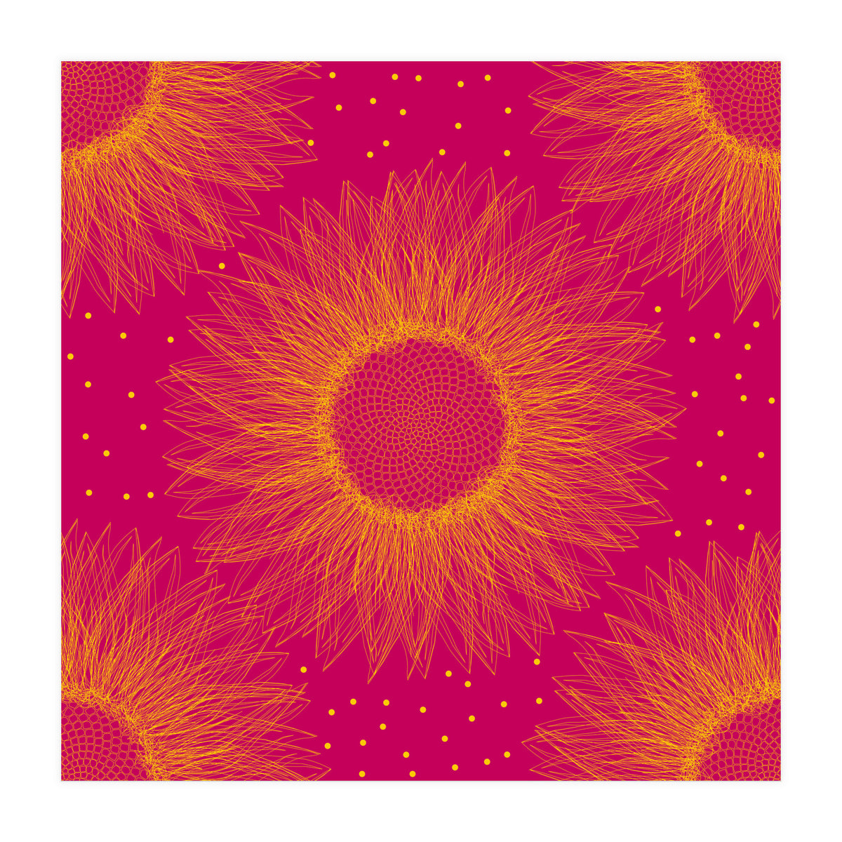 Sunflower (Print Only)